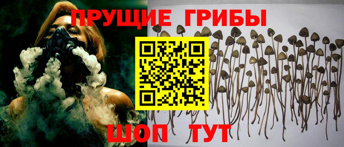 Апрелевка  что такое   Вход с VPN  Галлюциногенные грибы мицелий 